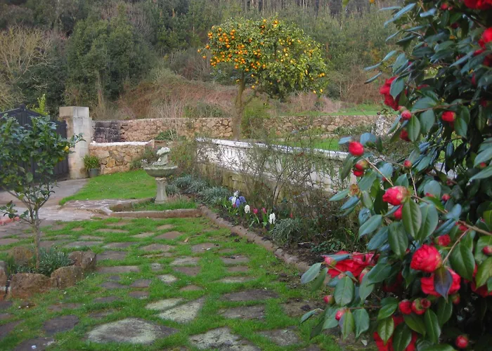 La Cena Apartment Novales